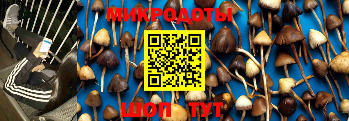 Галлюциногенные грибы Cubensis  Вход с VPN  Можга 