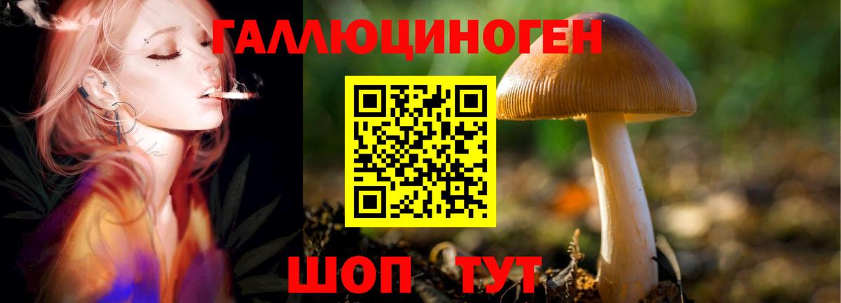 Галлюциногенные грибы GOLDEN TEACHER Можга